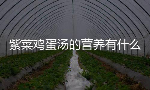 紫菜鸡蛋汤的营养有什么