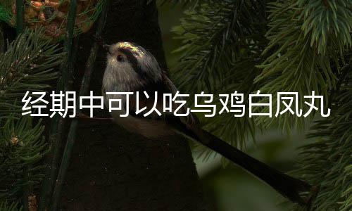 经期中可以吃乌鸡白凤丸吗