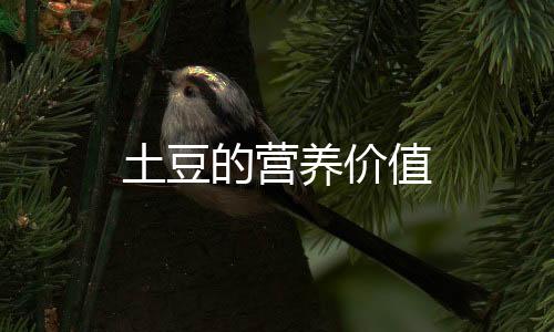 土豆的营养价值