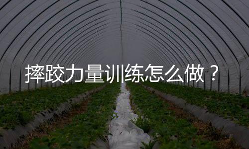 摔跤力量训练怎么做？