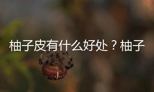 柚子皮有什么好处？柚子皮的功效与作用