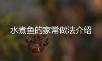 水煮鱼的家常做法介绍