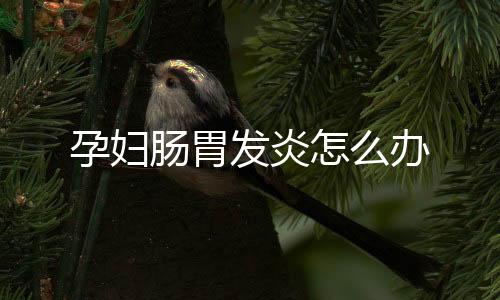 孕妇肠胃发炎怎么办