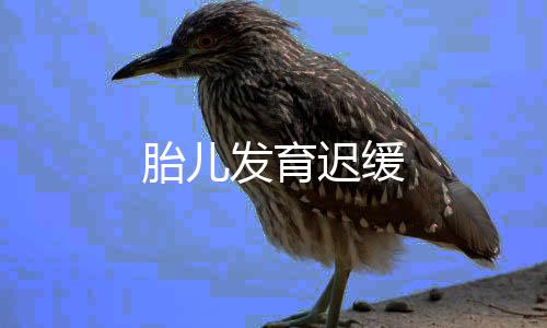 胎儿发育迟缓